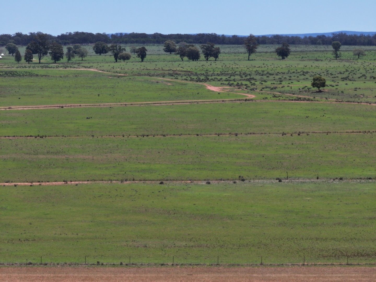 'Mentone' 1521 Bruie Plains Road, Trundle NSW 2875, Image 0