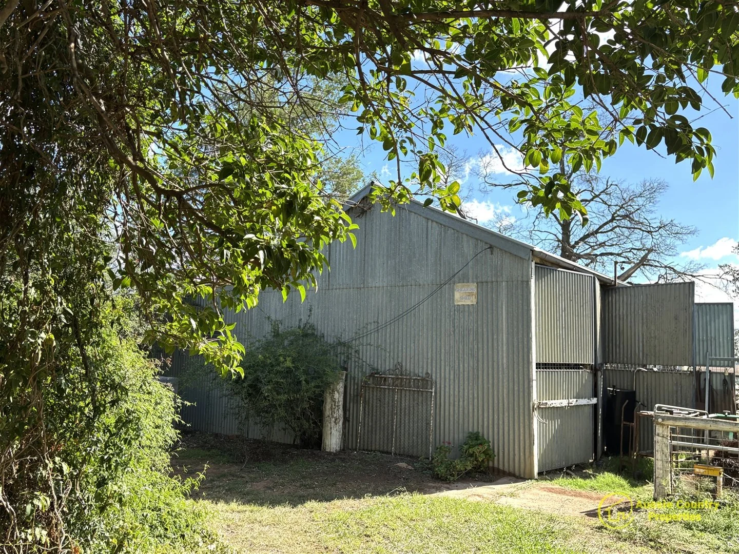 Image 20