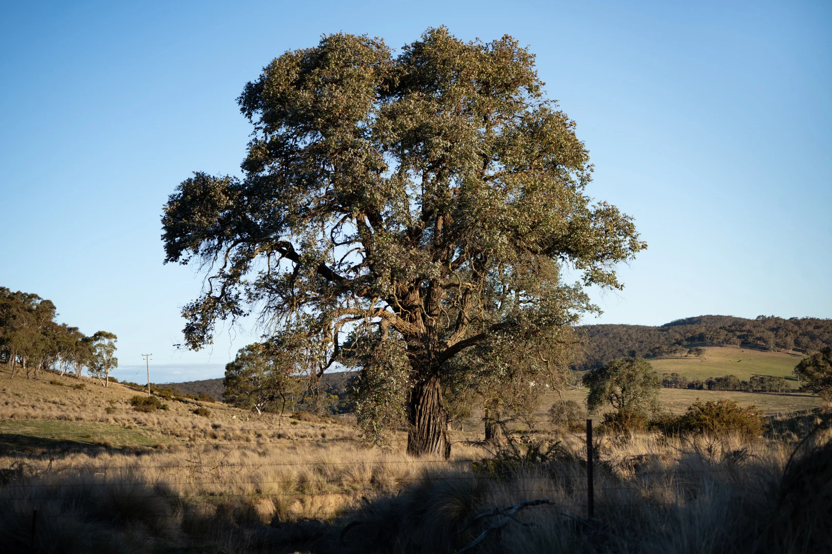 Image 13