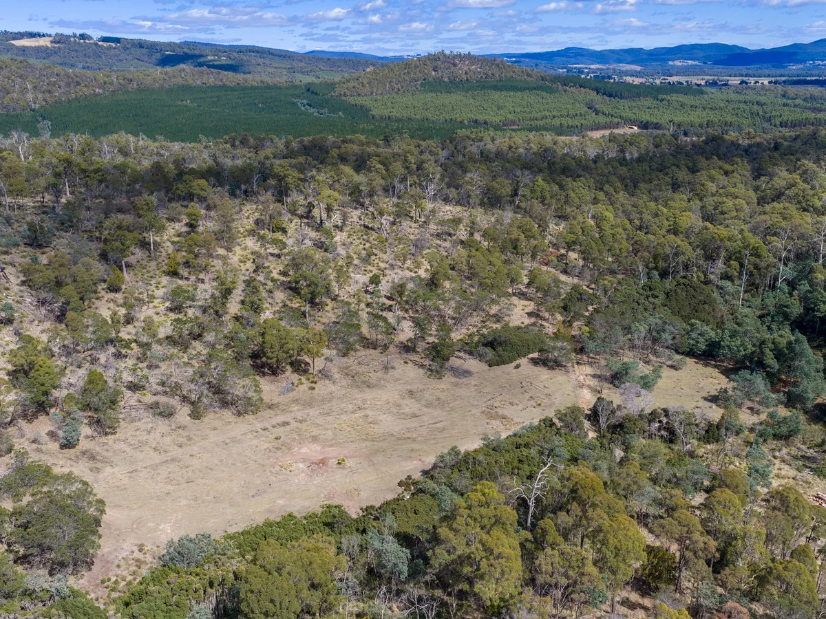 Additional image 5 of 2127 West Tamar Highway, Lanena TAS 7275