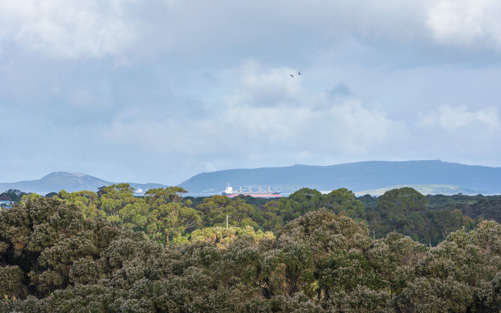 3 Freeman Close, Bayonet Head WA 6330, Image 2