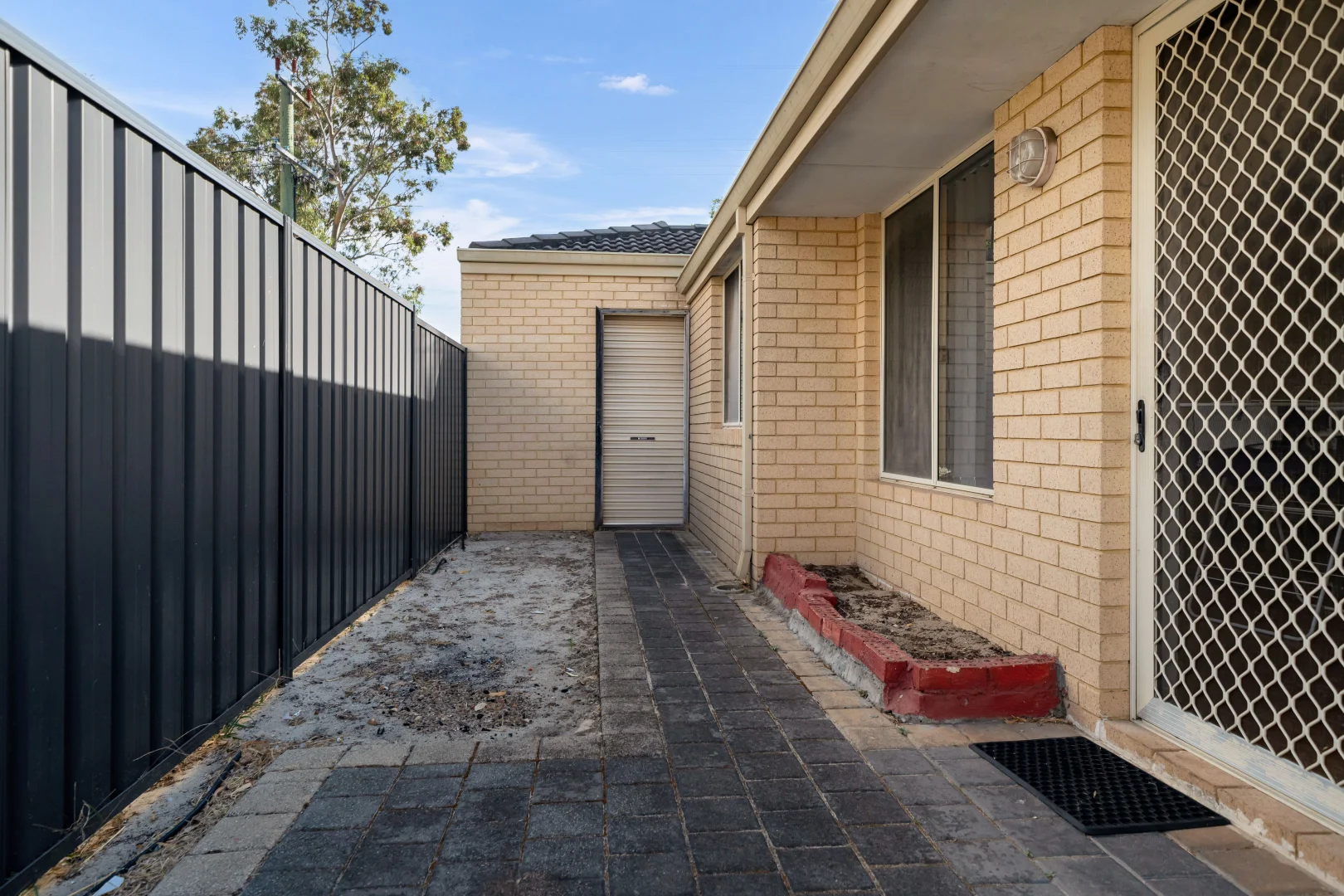 Image 15