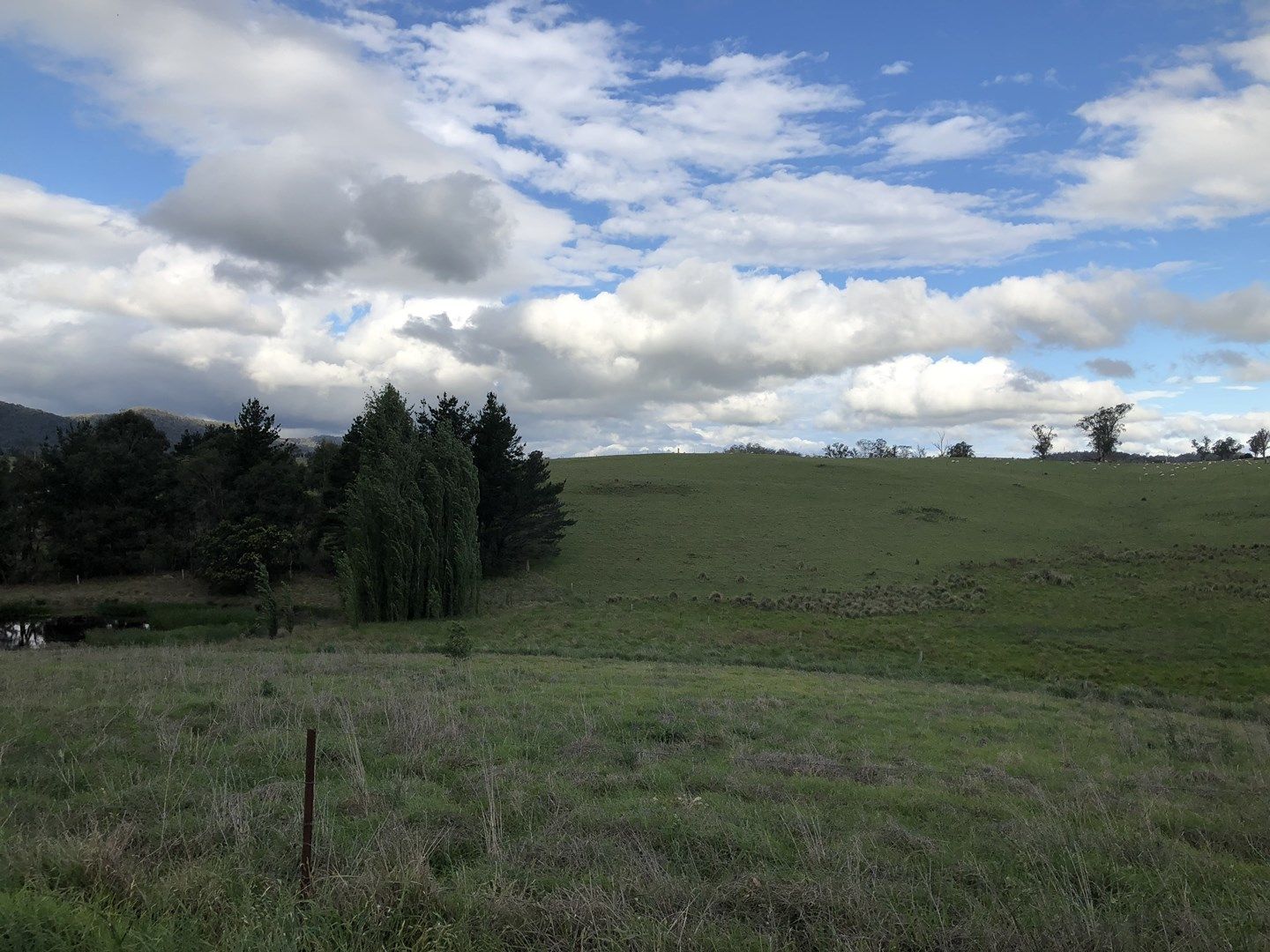 Lot 375 Murrabrine Lane, Cobargo NSW 2550, Image 0