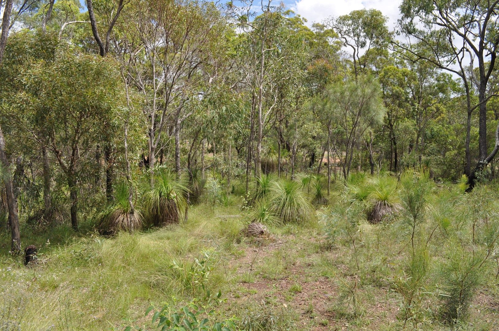 Agnes Water QLD 4677, Image 0