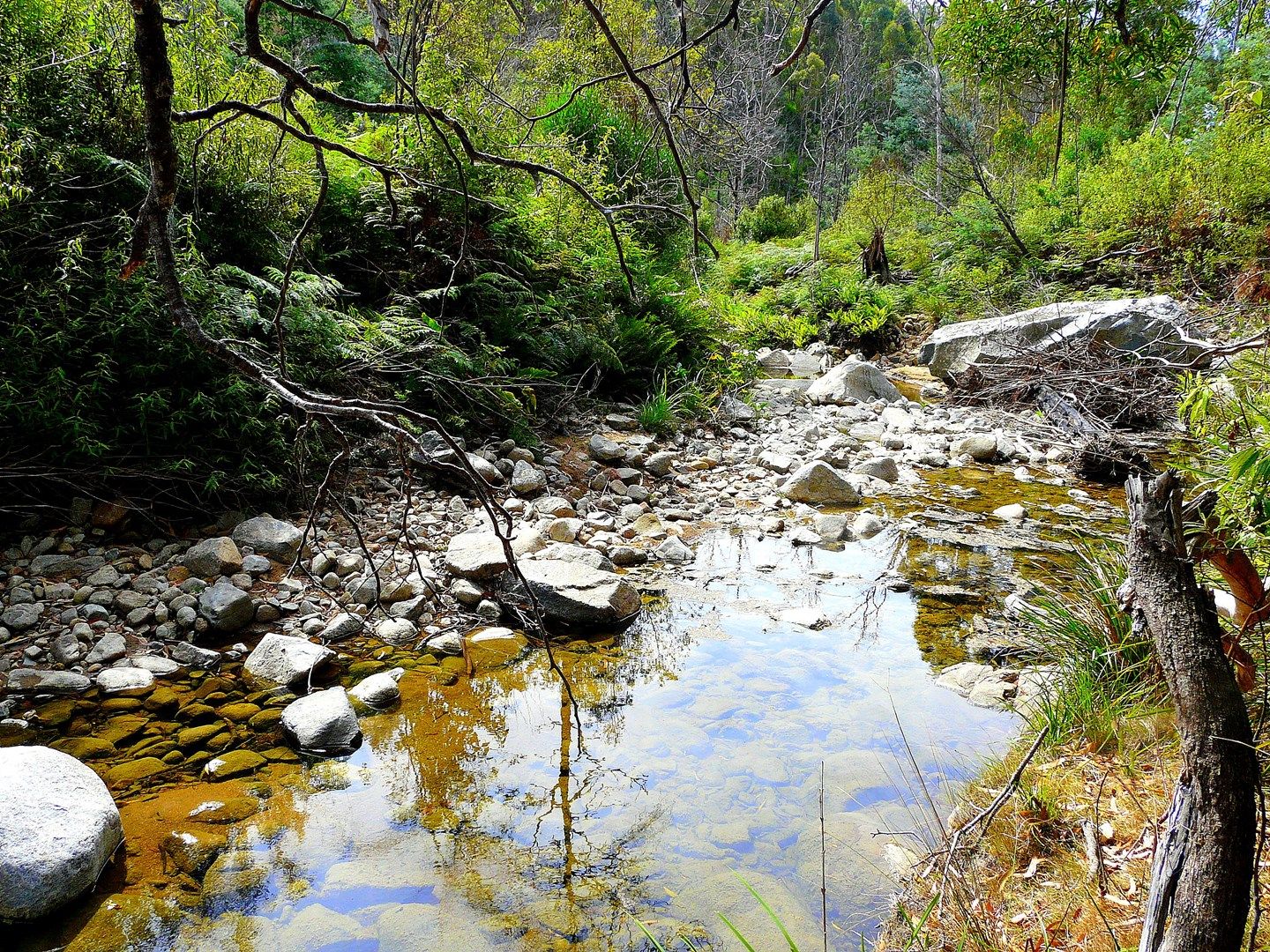 Four Mile Creek TAS 7215, Image 0