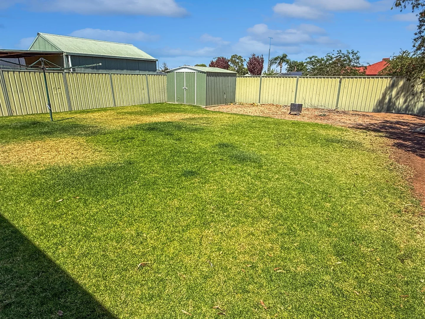 Image 15