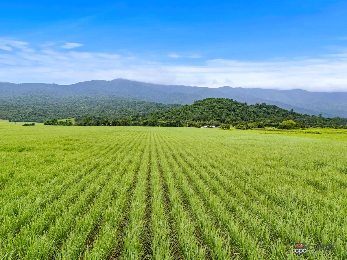 Additional image 12 of 101 Bruce Highway, Bellenden Ker QLD 4871