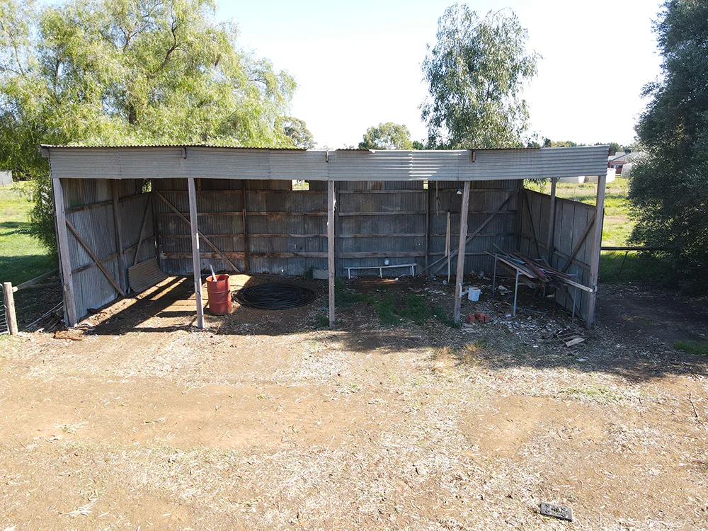 Image 10