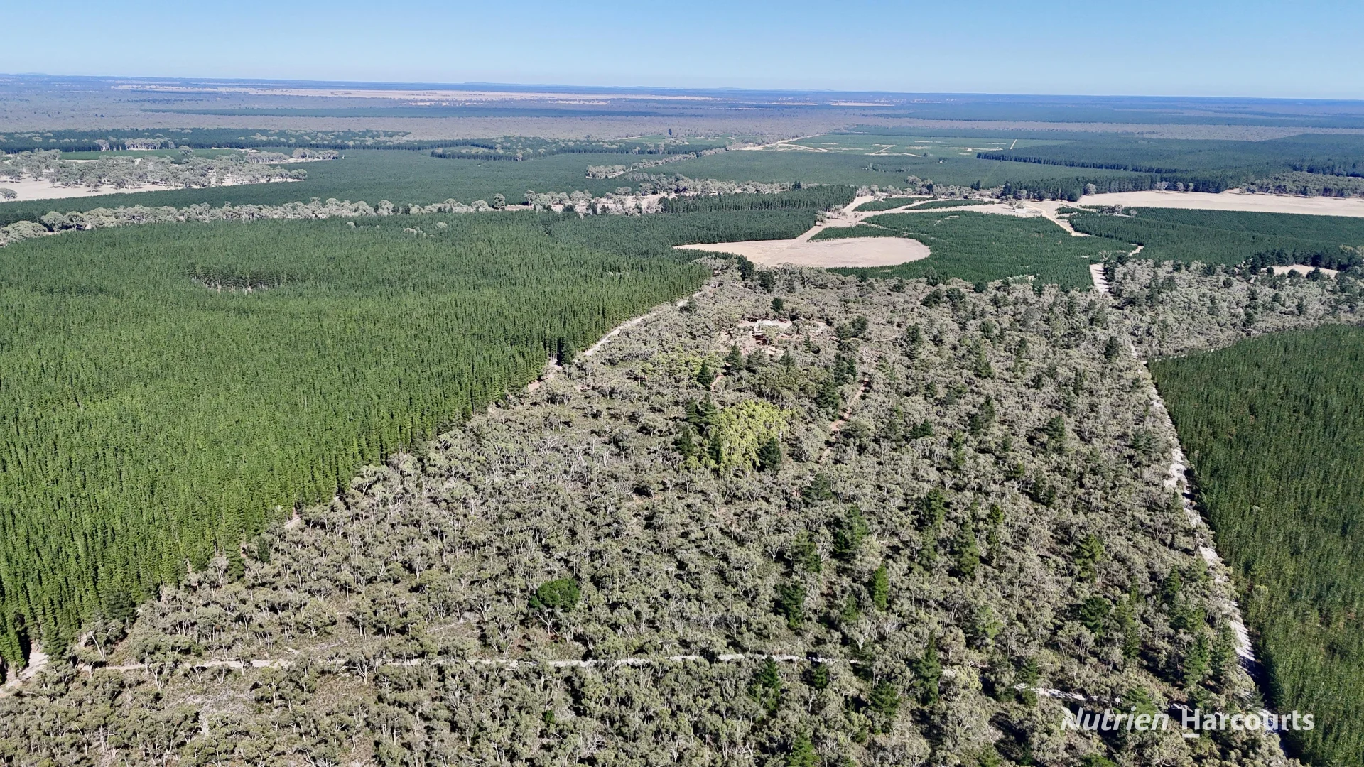 Additional image 17 of Lot 3 Patchings Road, Lake Mundi VIC 3312