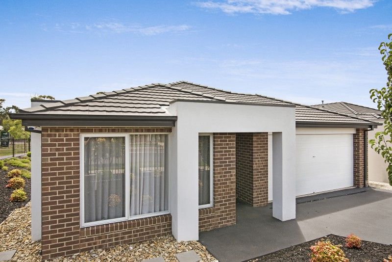 1 Ainsworth Street, Huntly VIC 3551, Image 0