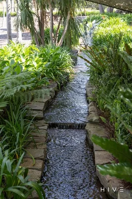 Image 32