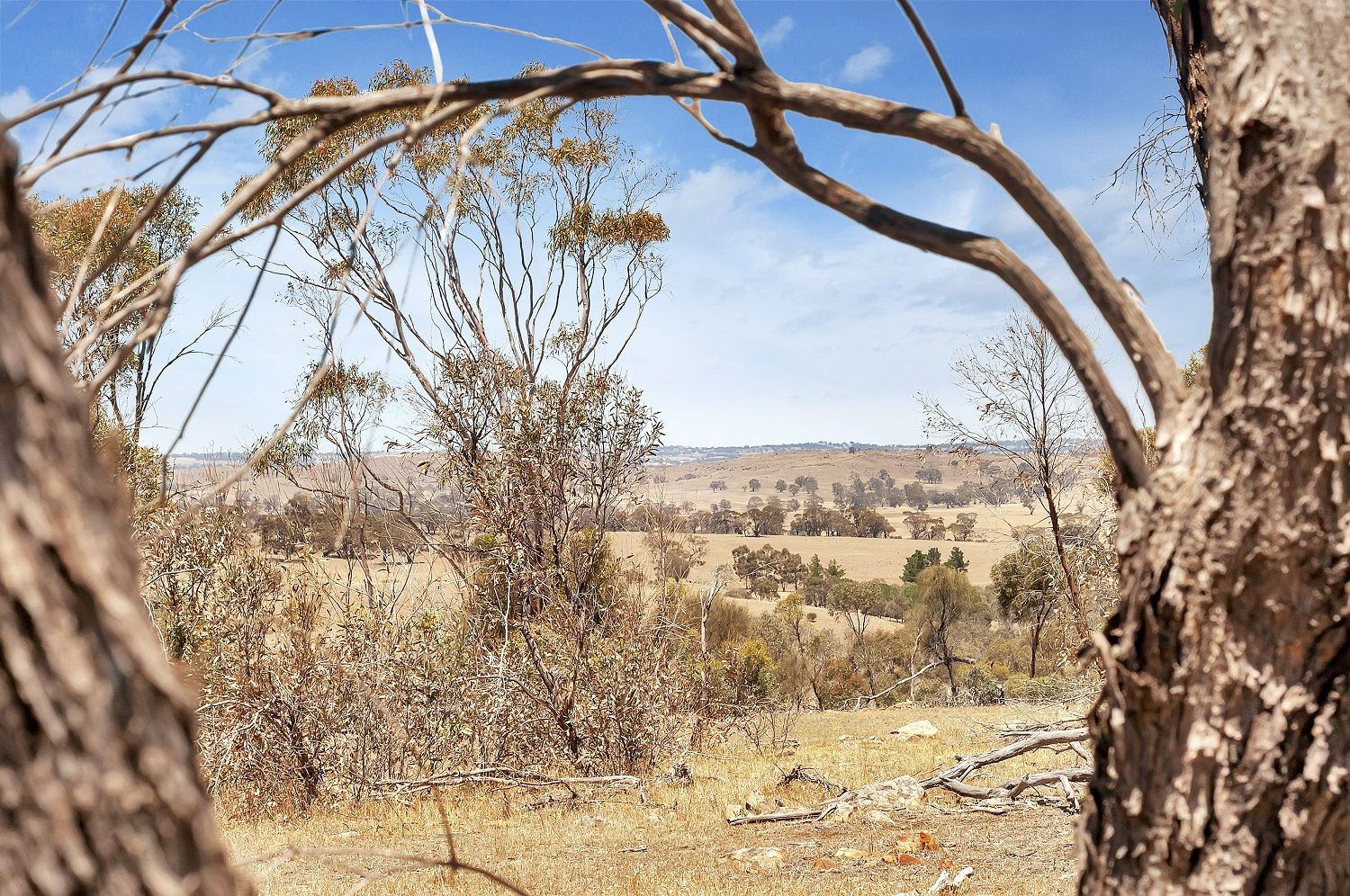 Section 560 Government Road, Keyneton SA 5353, Image 1