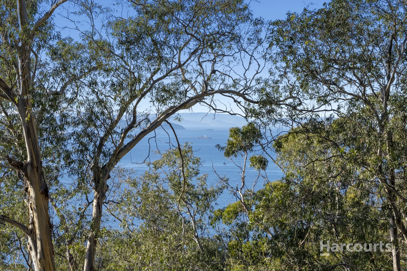 Image 18