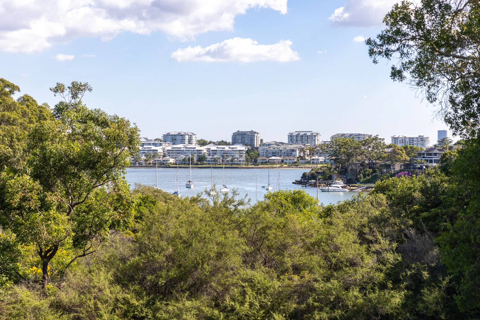 Additional image 31 of 17 Linsley Street, Gladesville NSW 2111