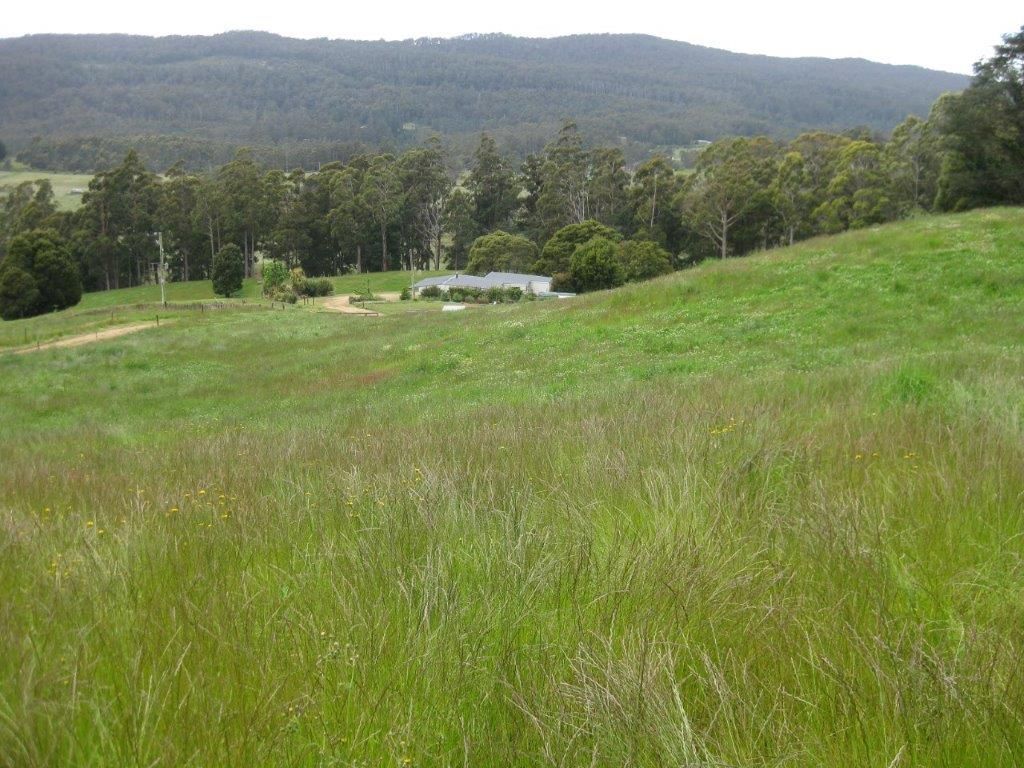 3 Stevenson Road, Lower Barrington TAS 7306 House for Sale Domain