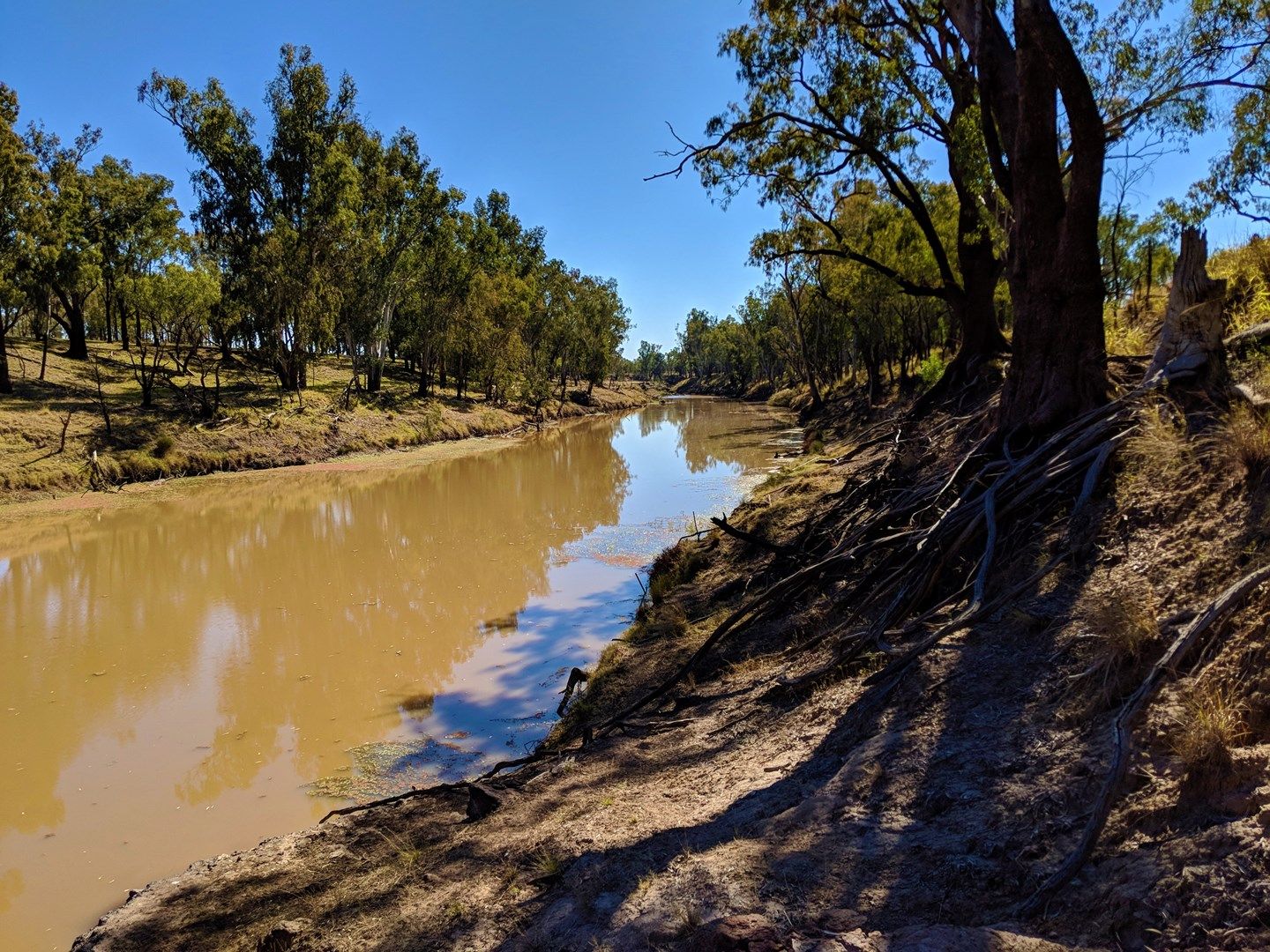 Leichhardt Highway, Condamine QLD 4416, Image 0