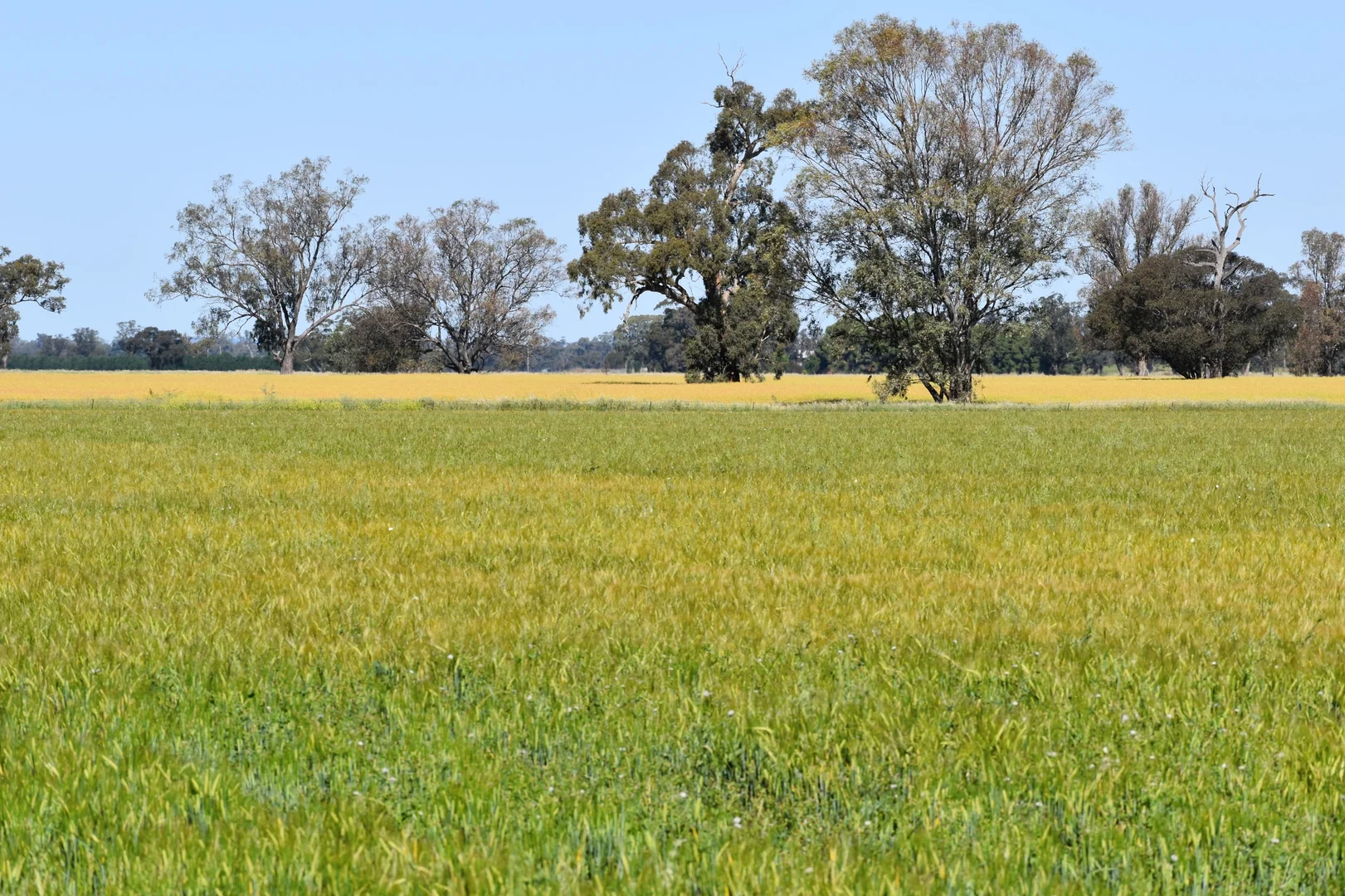 Image 14