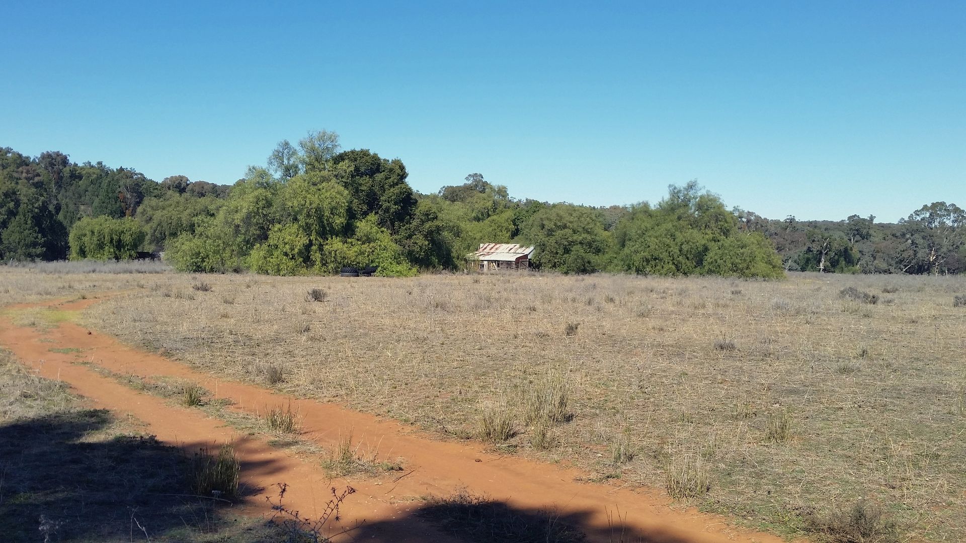 Gilgandra NSW 2827 House for Sale 600,000 Domain