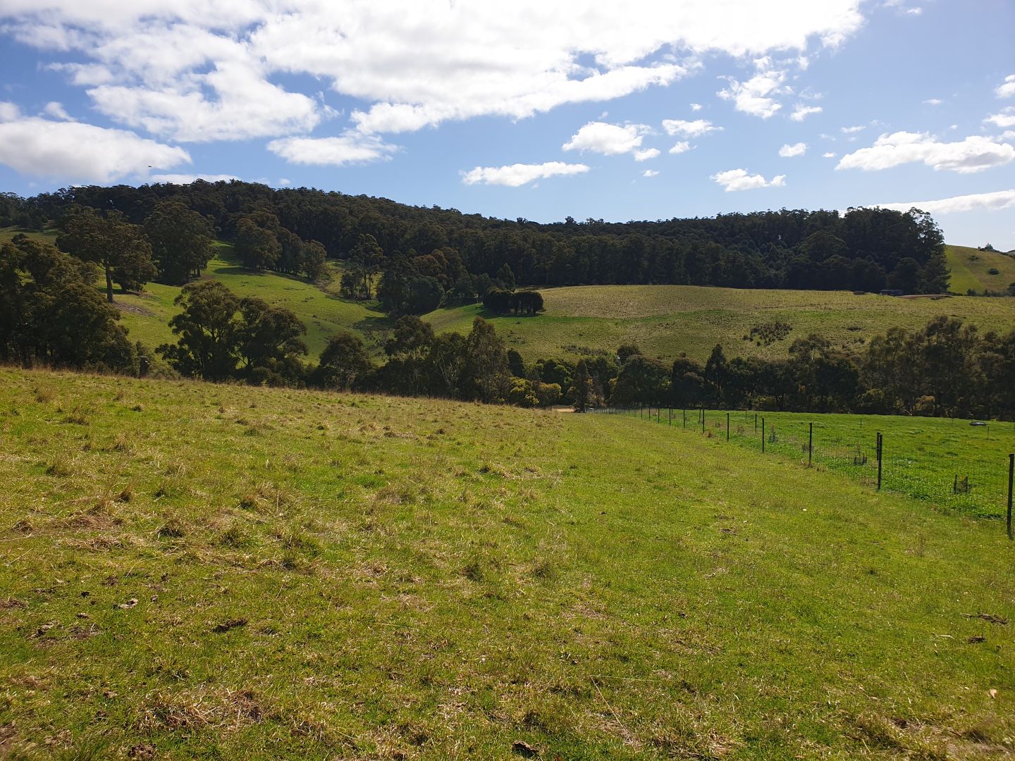 79 Wallace Road, TAS 7112 Vacant Land for Sale Domain