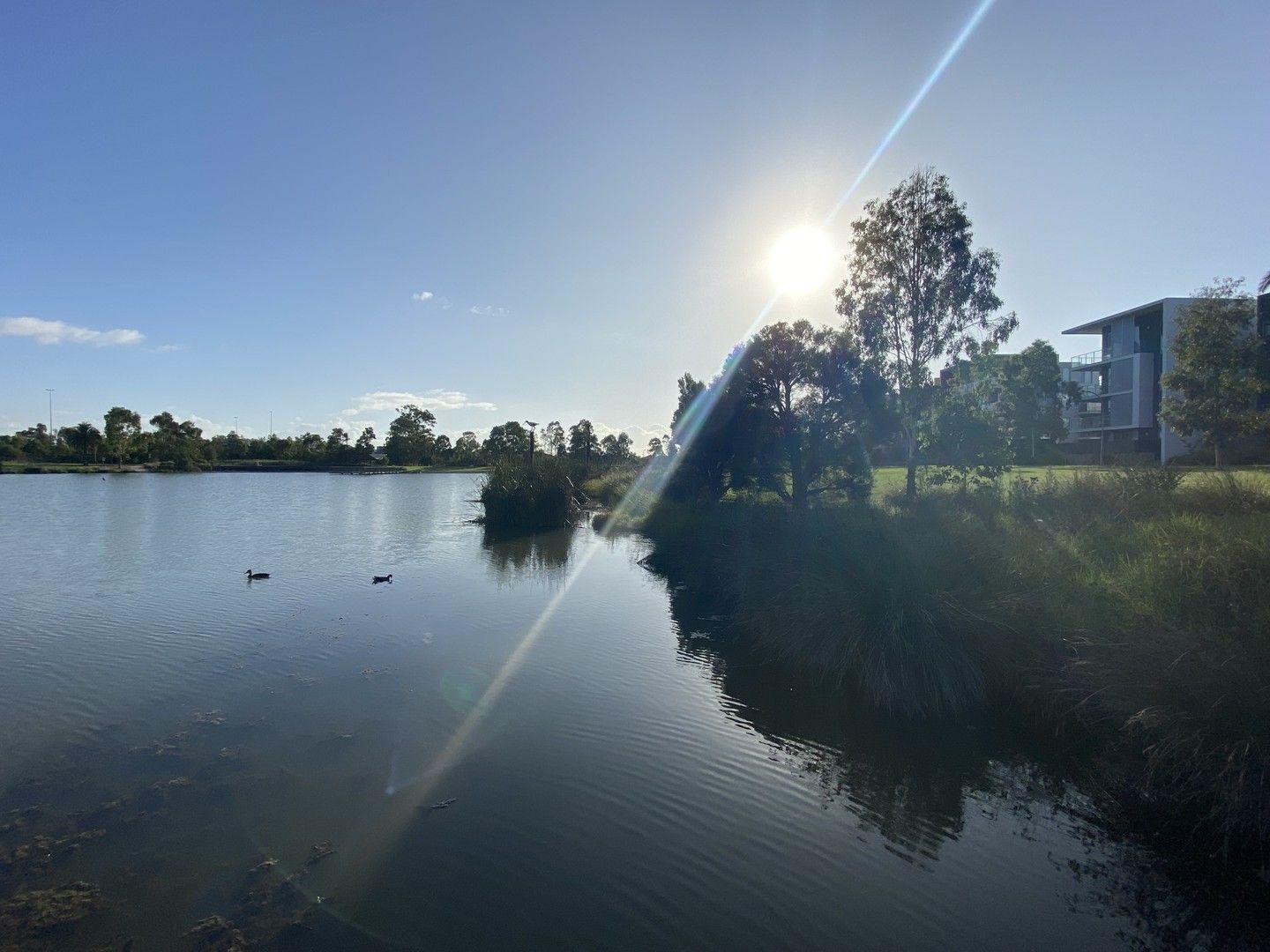 Jordan Springs NSW 2747 2 beds apartment for Rent, 590 per week 16366483 Domain