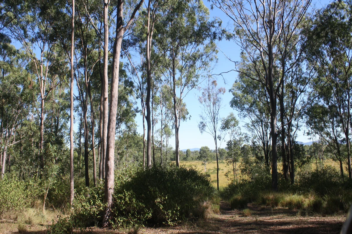 Image 16
