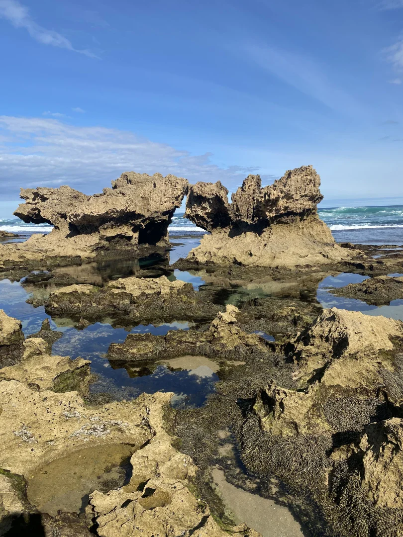 Image 30