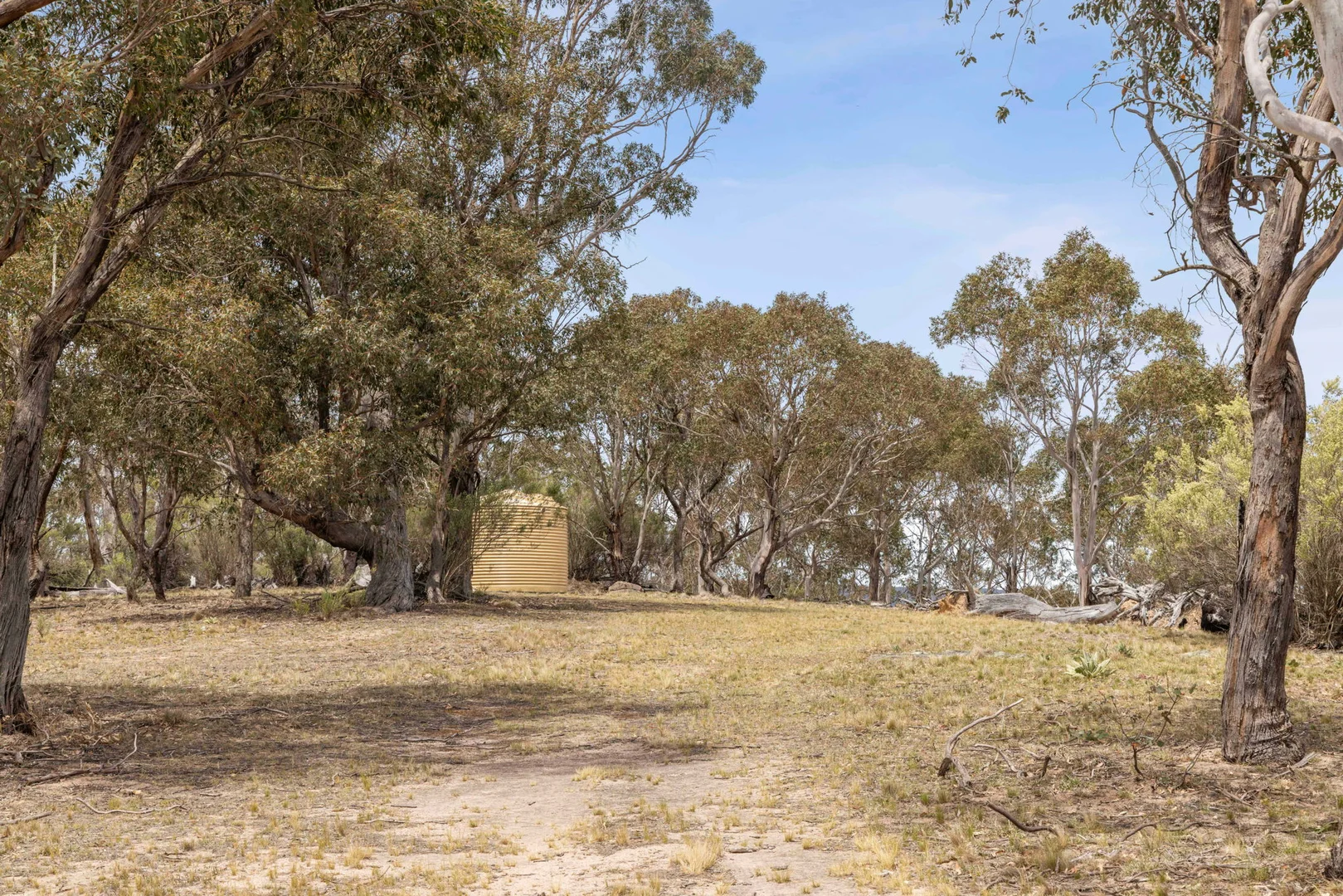 Image 9