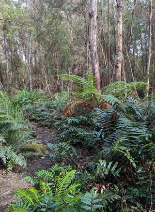 Image 14