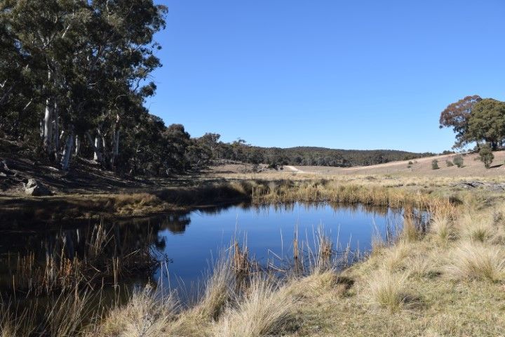Stage 3 Marian Vale, Boxers Creek NSW 2580, Image 1