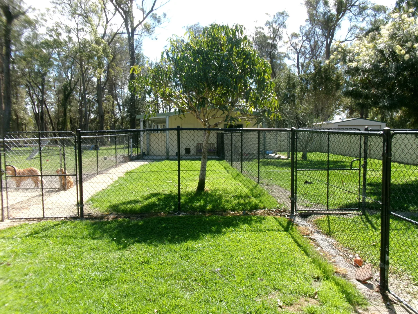 Additional image 25 of 40 Forest Oak Road, King Creek NSW 2446