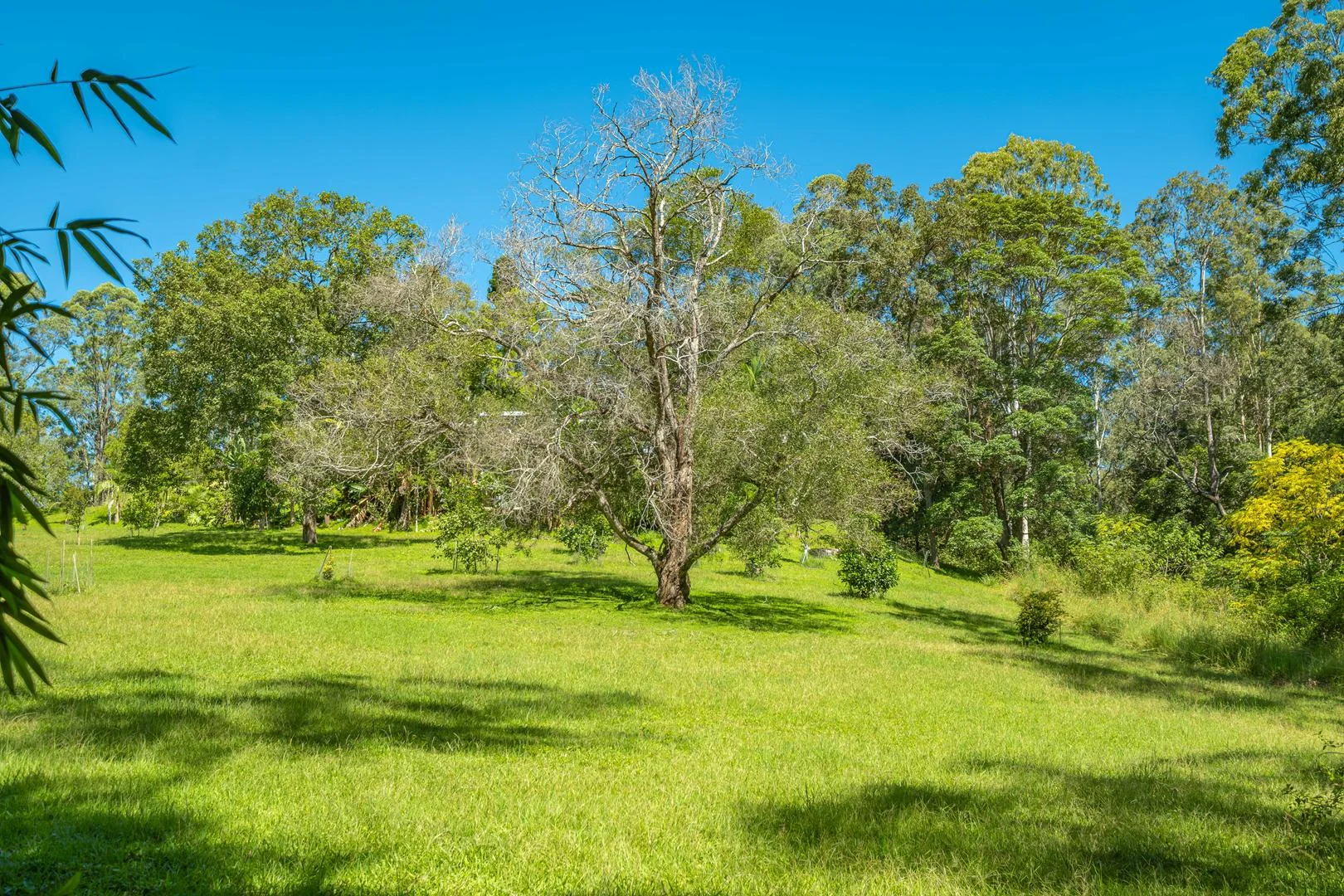 Additional image 22 of Conondale QLD 4552