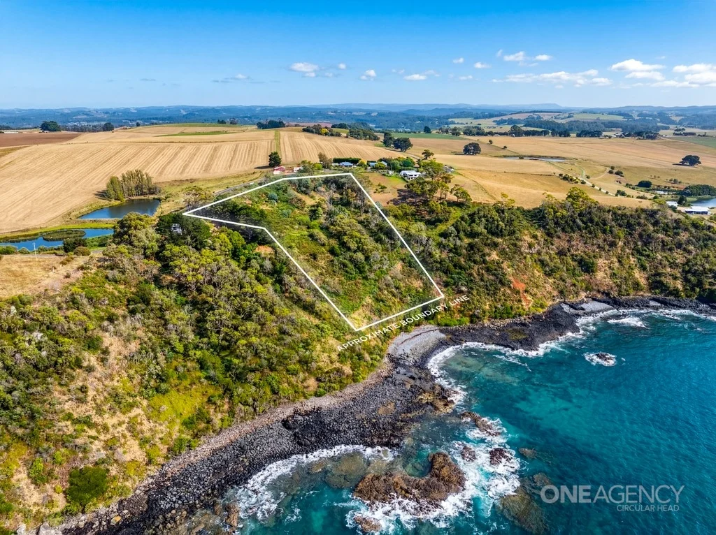 472 Tollymore Road, Table Cape TAS 7325