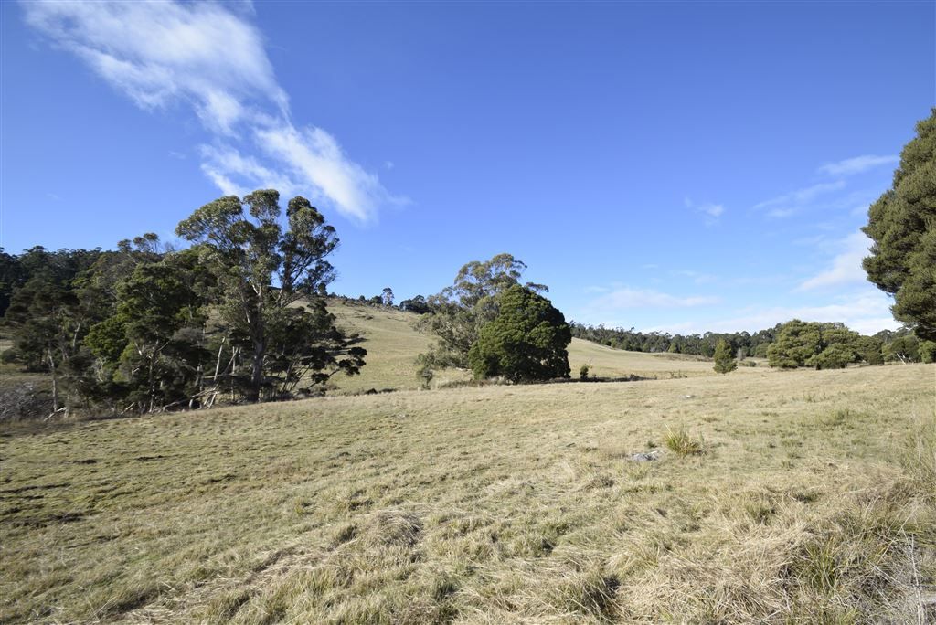 778 Weetah Road, Weetah TAS 7304, Image 2