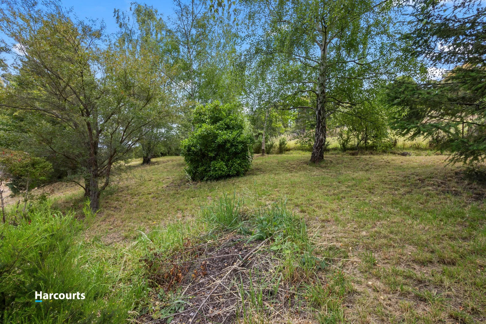 Image 15