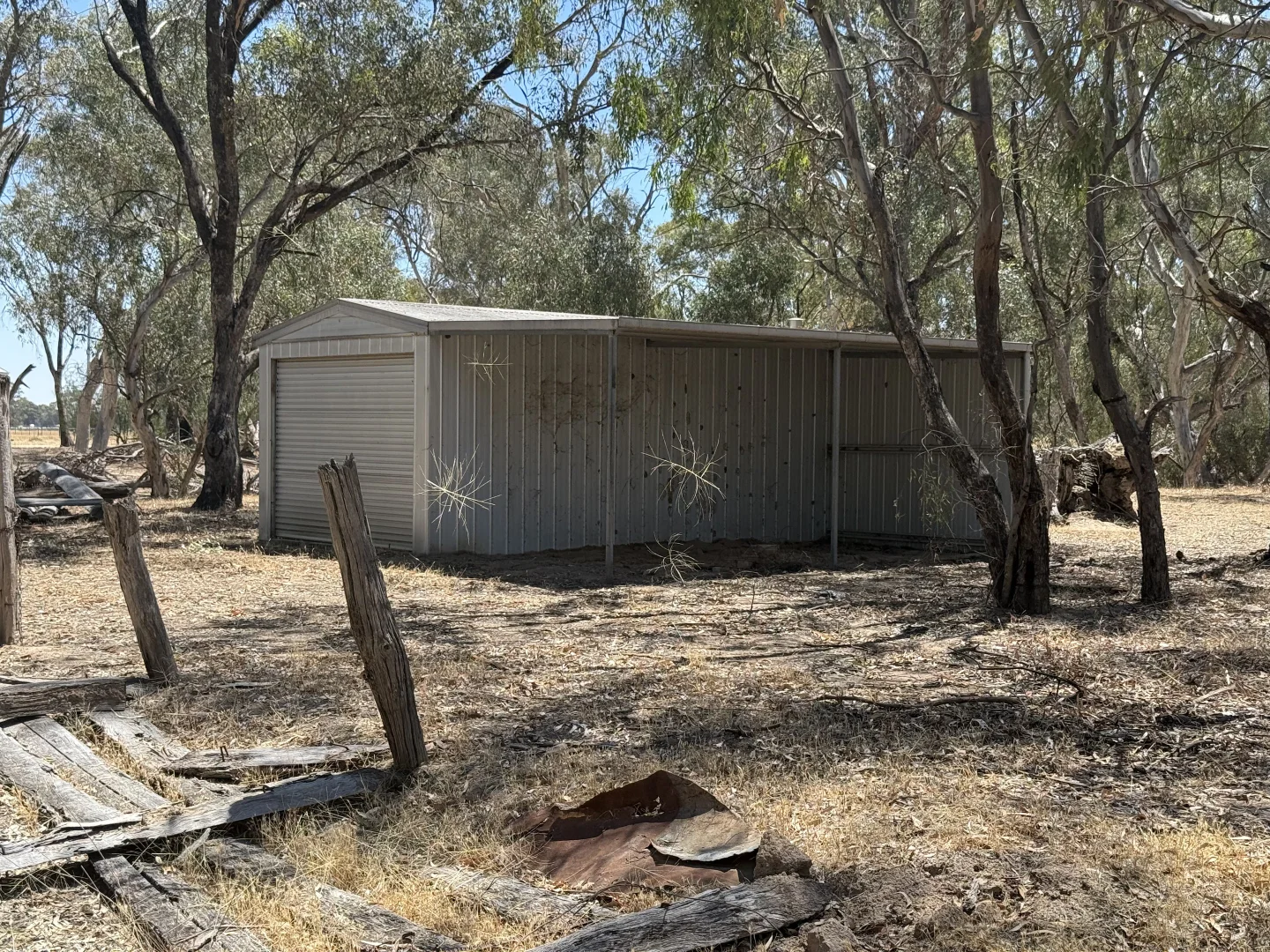 Image 15
