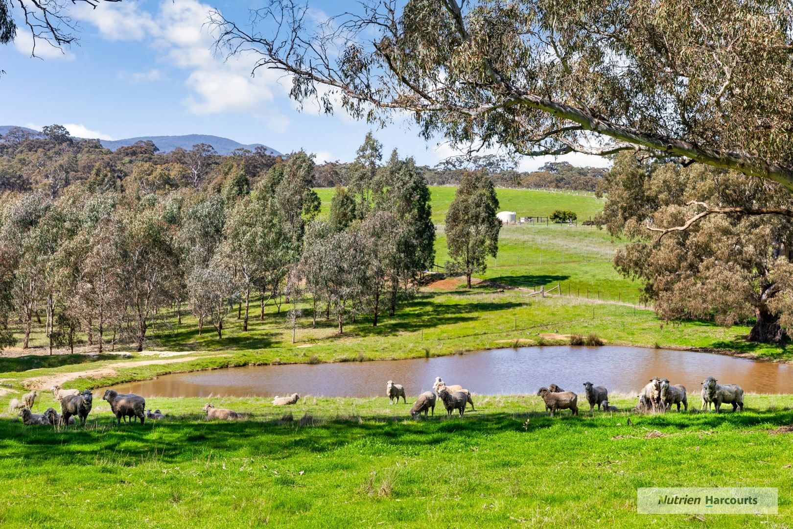 1150 Sugarloaf Creek Road via, Broadford VIC 3658, Image 2