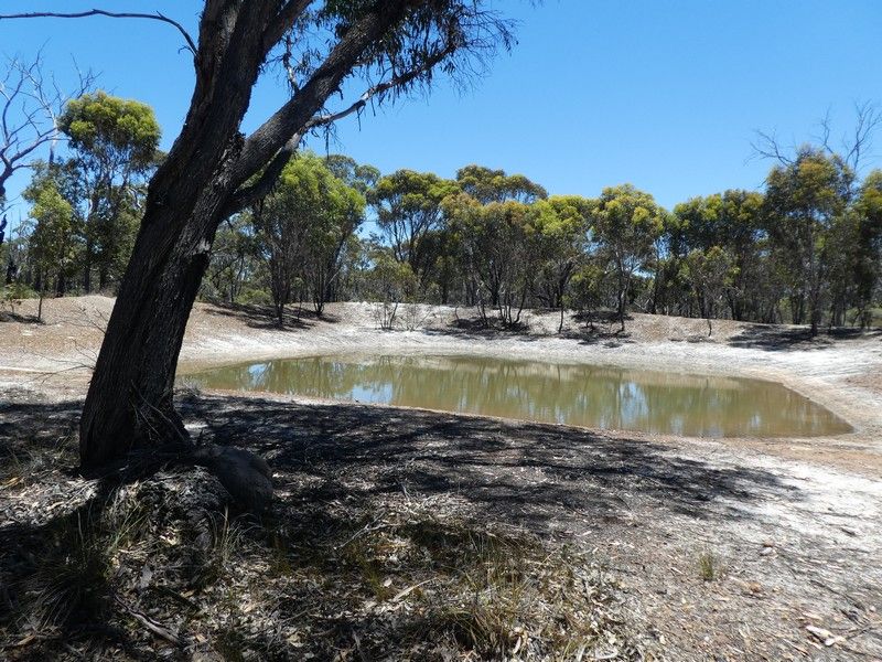 Lot 8 Rocky Gully Road, Rocky Gully WA 6397, Image 1