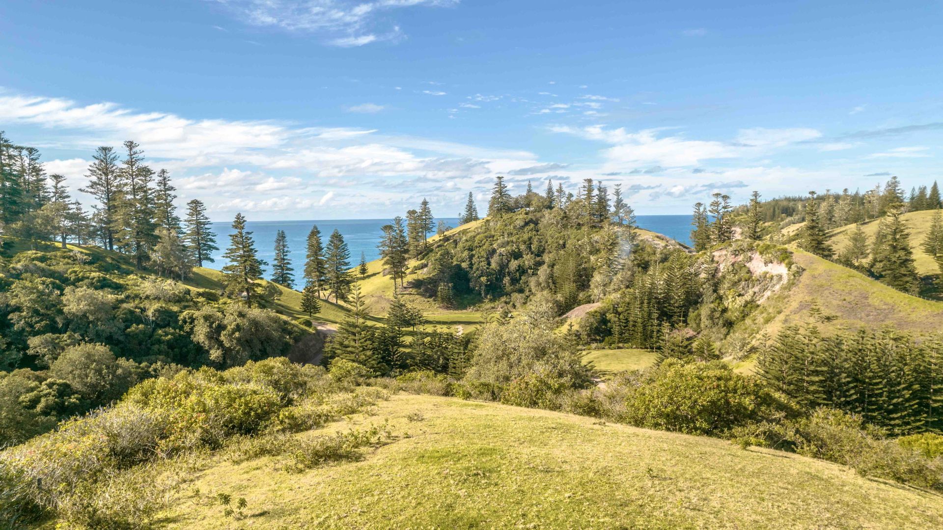 137c4 Red Road, Norfolk Island NSW 2899, Image 2