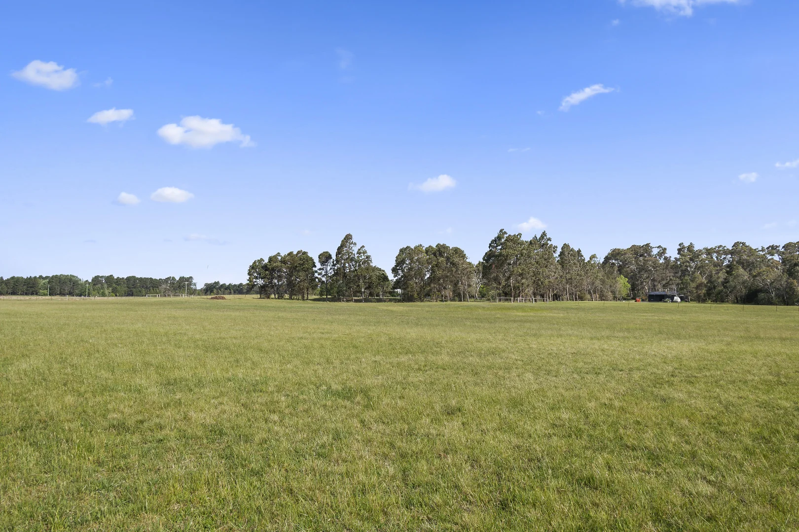 Image 35