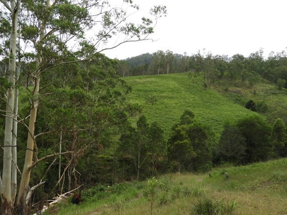 Lot 1 Pipeclay Road, Kindee NSW 2446