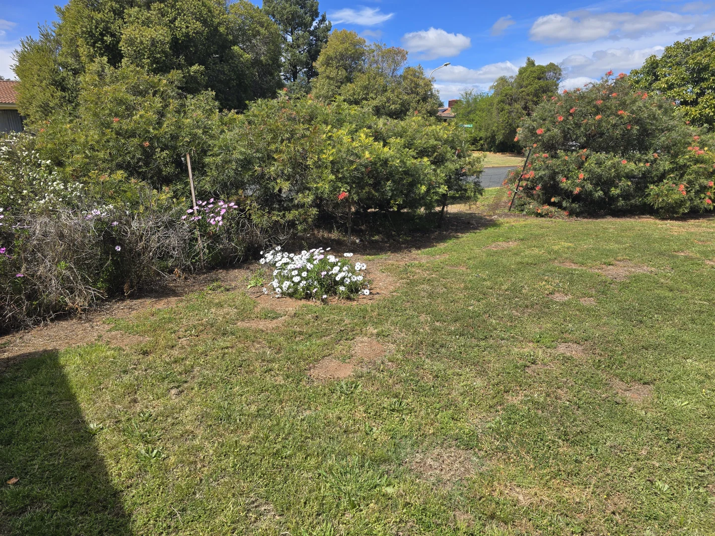 Additional image 5 of 12 DOYLE STREET, Condobolin NSW 2877