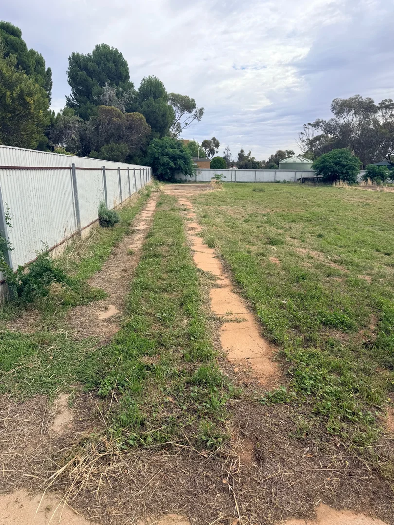 Image 3