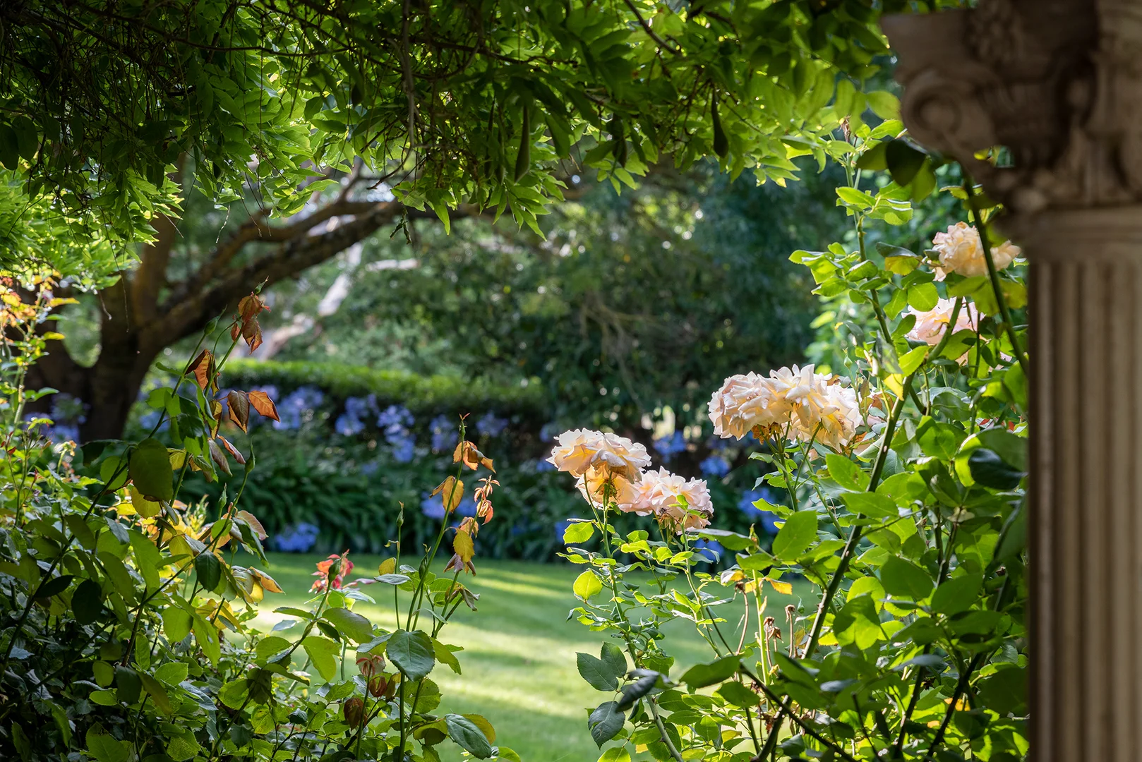 Additional image 18 of 90 Whitehands Road, Weatherboard VIC 3352