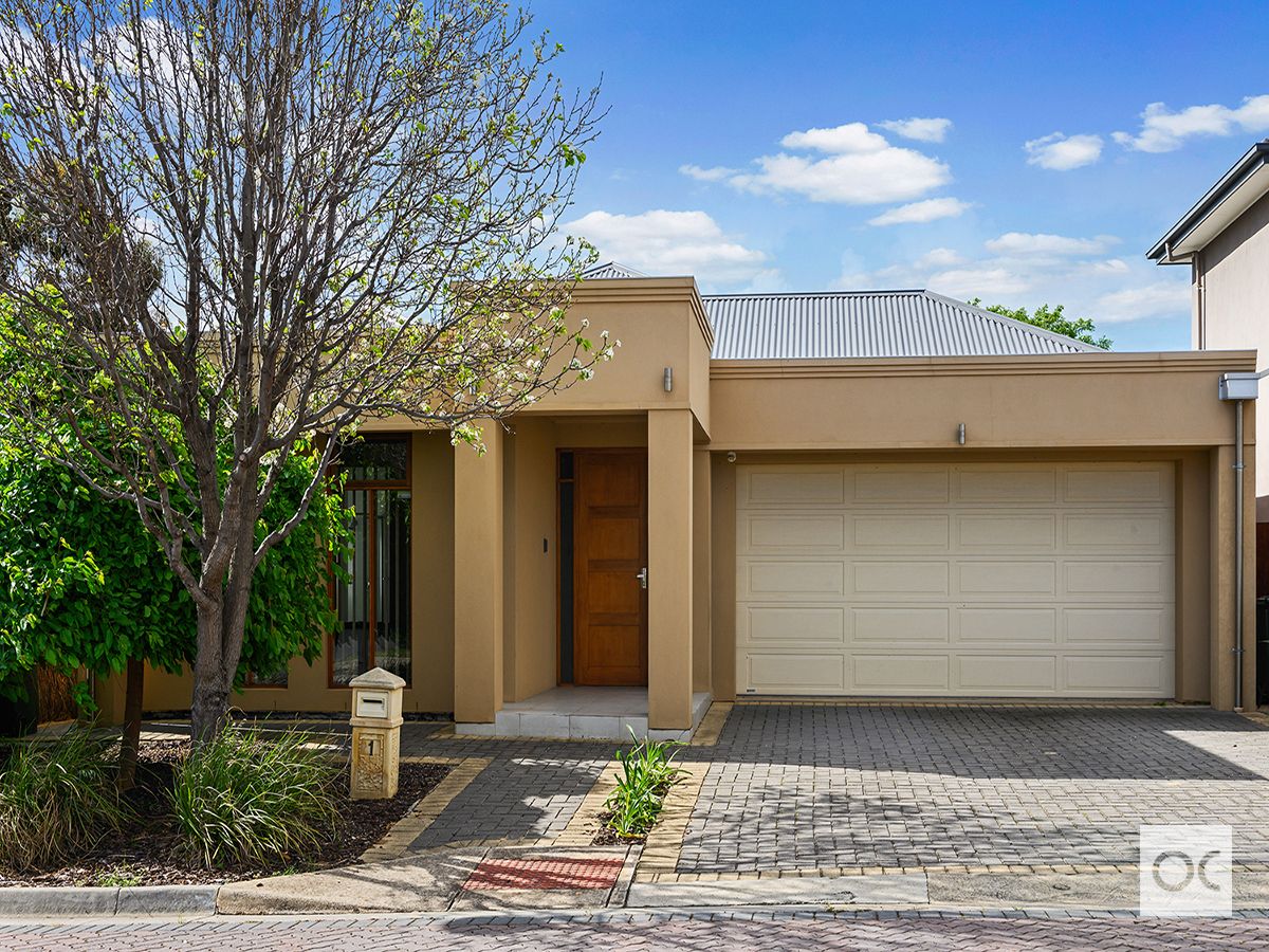 1 Adele Avenue, Grange SA 5022, Image 2