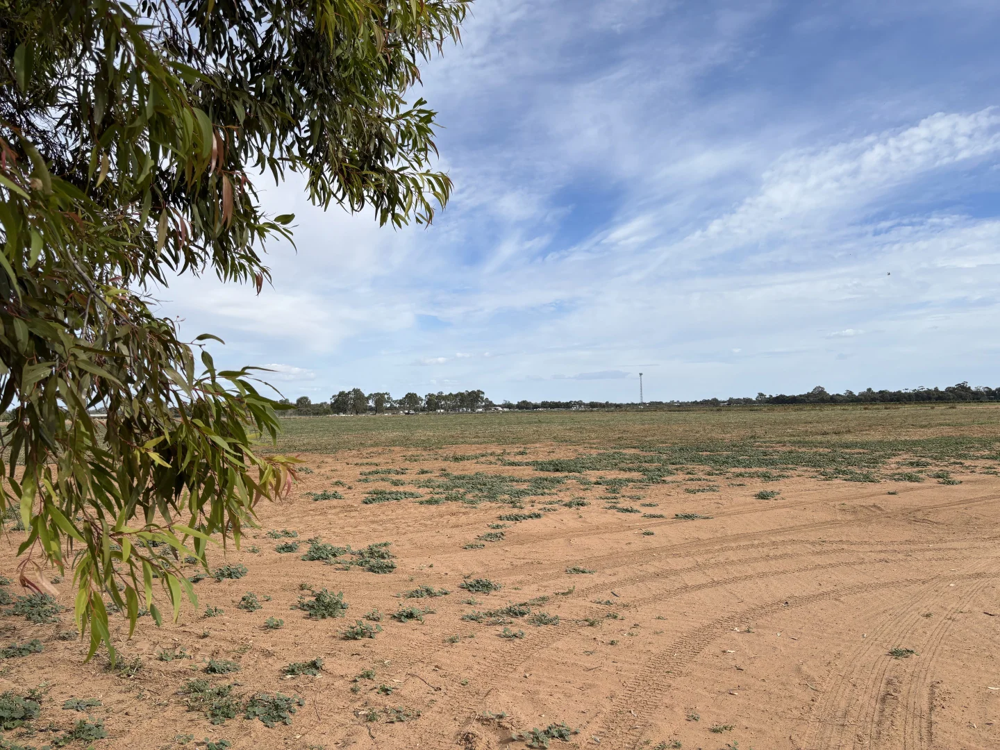 Image 13