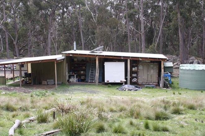 Picture of 3 Carrot Farm Road, DEEPWATER NSW 2371