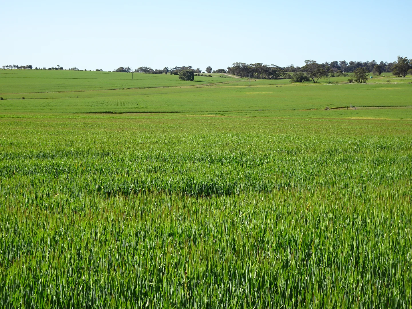 Image 13