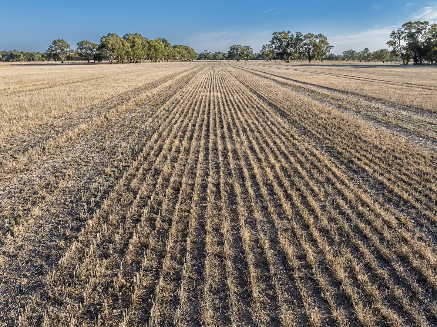 Additional image 52 of 610 Ulupna Bridge Road, Ulupna VIC 3641