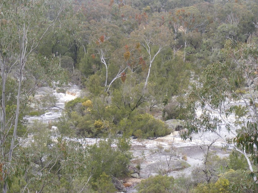 367 Wylie Creek Road, Liston NSW 2372, Image 2