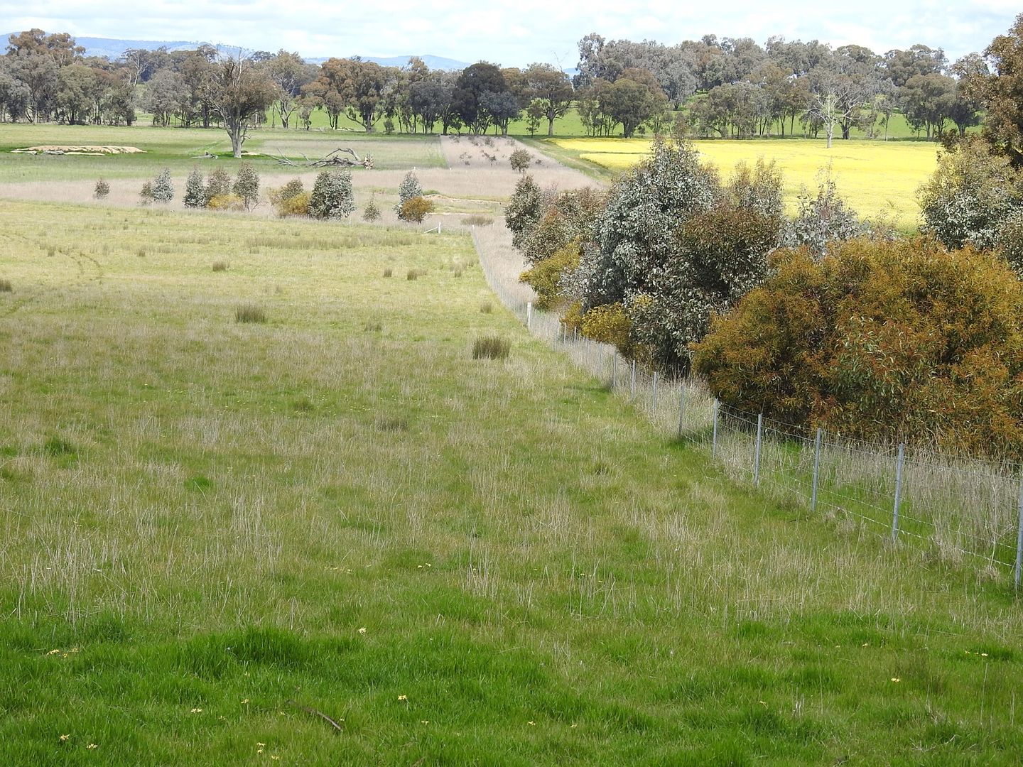 Gellibrand Tonks Road, Violet Town VIC 3669 House for Sale Domain